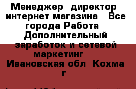 Менеджер (директор) интернет-магазина - Все города Работа » Дополнительный заработок и сетевой маркетинг   . Ивановская обл.,Кохма г.